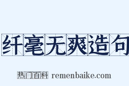 纤毫无爽造句是什么意思的图片